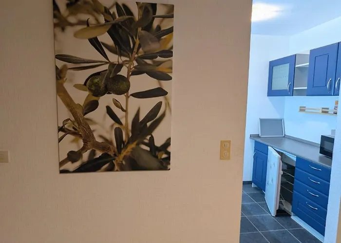 Mimo 24 Apartmán Kolín nad Rýnem